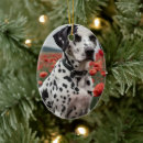 Search for dalmatian christmas tree decorations Spots