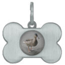 Search for funny pet tags Animals