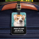 Search for corgi luggage tags Canine