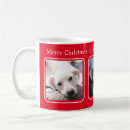 Search for three mugs Pet