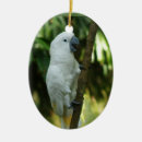 Search for exotic christmas tree decorations Cockatoo