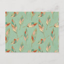Search for feather pattern postcards Boho