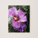 Search for bumblebee puzzles Flowers