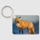 Search for fox graphic key rings Wildlife