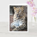 Search for leopard portrait cards Leopards