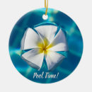 Search for swimming pool christmas tree decorations Vacation
