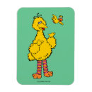 Search for big bird sesame street magnets Big birds cousin
