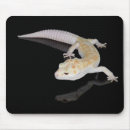 Search for gecko mousepads Leopard