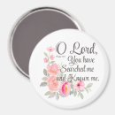 Search for 139 magnets Christian