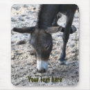 Search for donkey electronics Animal
