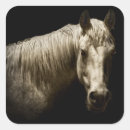 Search for small horse stickers White