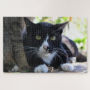 Search for tuxedo cat puzzles Cats