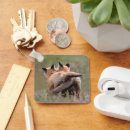 Search for red fox key rings Nature