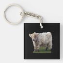 Search for mooing cow key rings Calf