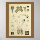 Search for eye doctors posters Medical