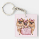 Search for pomeranian dog key rings Puppy