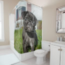 Search for pug bathroom accessories Black