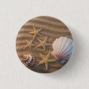 Search for pictures of shells badges Sea