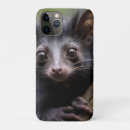 Search for lemurs electronics Madagascar