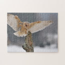 Search for barn owl puzzles Face