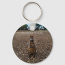 Search for wallabies key rings Wallaby