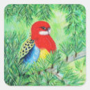 Search for red parrot stickers Green