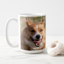 Search for happy corgi mugs Welsh