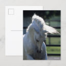 Search for backlit postcards Animal