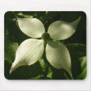 Search for dogwood mousepads Blossom