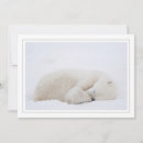 Search for manitoba cards Winter