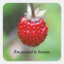 Search for wild berries stickers Fruit