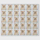 Search for siamese cat crafts party Animal lover
