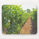 Search for viticulture electronics Agriculture