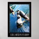 Search for funny turtles posters Nature