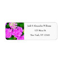 Search for pink hydrangea return address labels Botanical