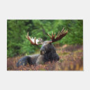 Search for moose doormats Wildlife
