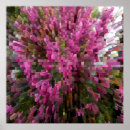 Search for shouting Pink