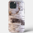 Search for birch photography Bark