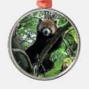 Search for mammal christmas tree decorations Panda