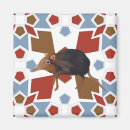 Search for animal patterns magnets For kids