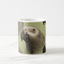 Search for african grey parrot mugs Psittacus erithacus