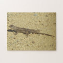 Search for lizard puzzles Brown
