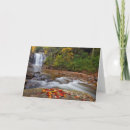 Search for creek fall cards Appalachian mountains