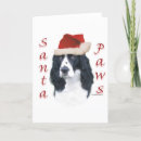 Search for springer spaniel christmas cards English