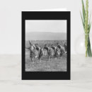 Search for maori cards Photography