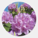 Search for rhododendron stickers Landscape