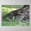 Search for tree roots posters Nature