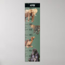 Search for safari nursery decor Boys