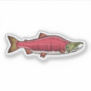 Search for spawning Fish