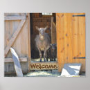 Search for goat posters Photograph